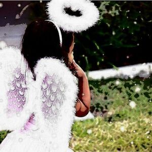 NWT Angel or Fairy Wings by Great Pretenders